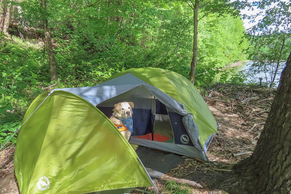Tenda Big Agnes Blacktail 3 Hotel - 3 posti letto | Leggera e spaziosa
