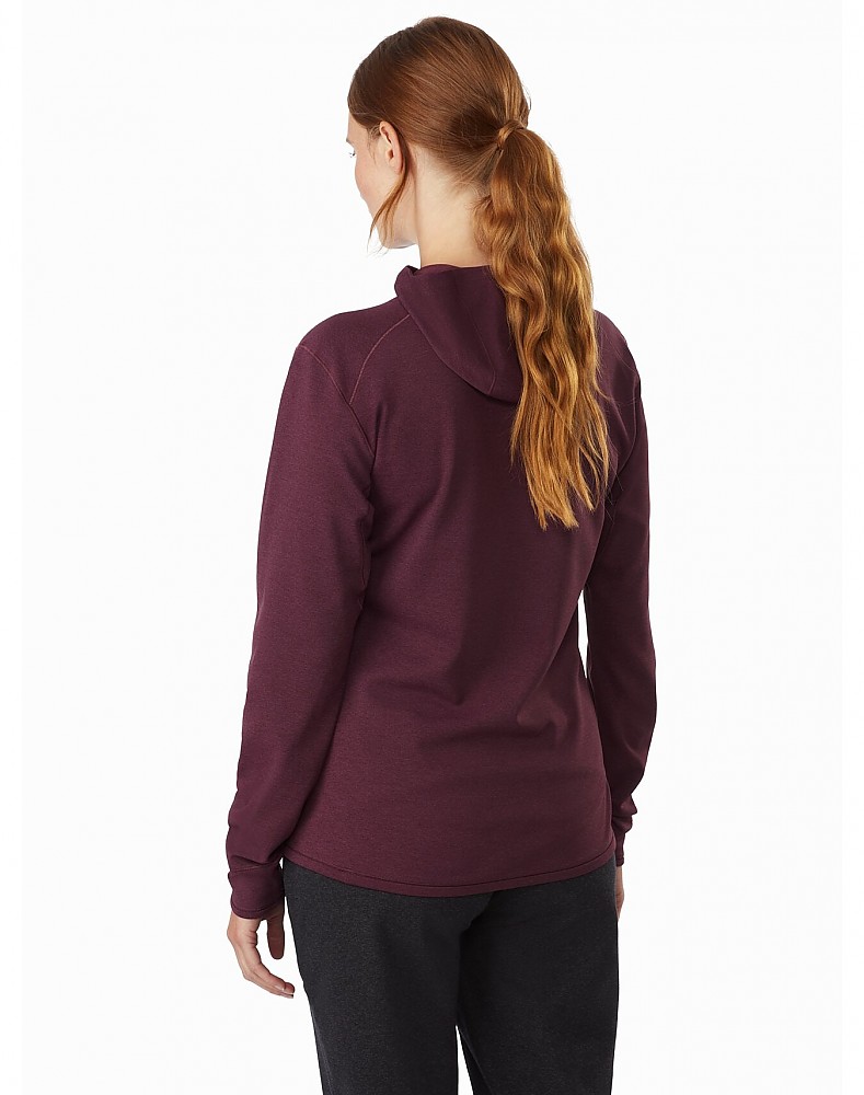 debenhams champion hoodie