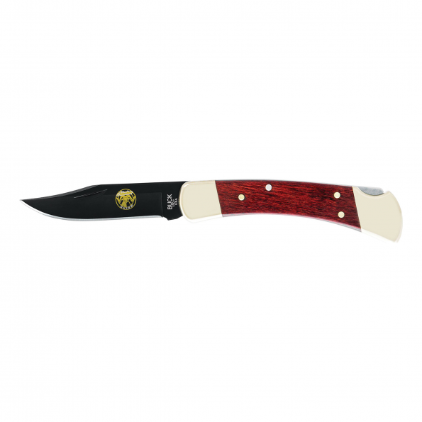 Buck 110 Folding Hunter