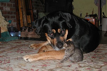 DSCN1880.jpg