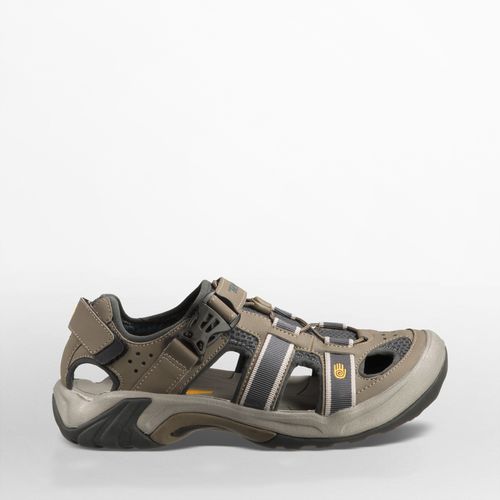 teva omnium review
