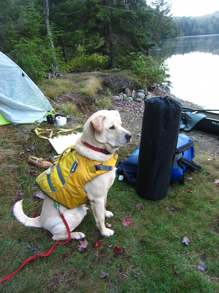 ALPS Mountaineering Lightweight Series Self Inflating Air Pads Reviews