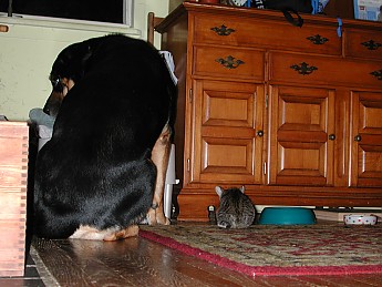 DSCN2418.jpg