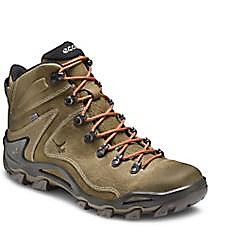 photo: Ecco Men's Dhaka Mid GTX hiking boot