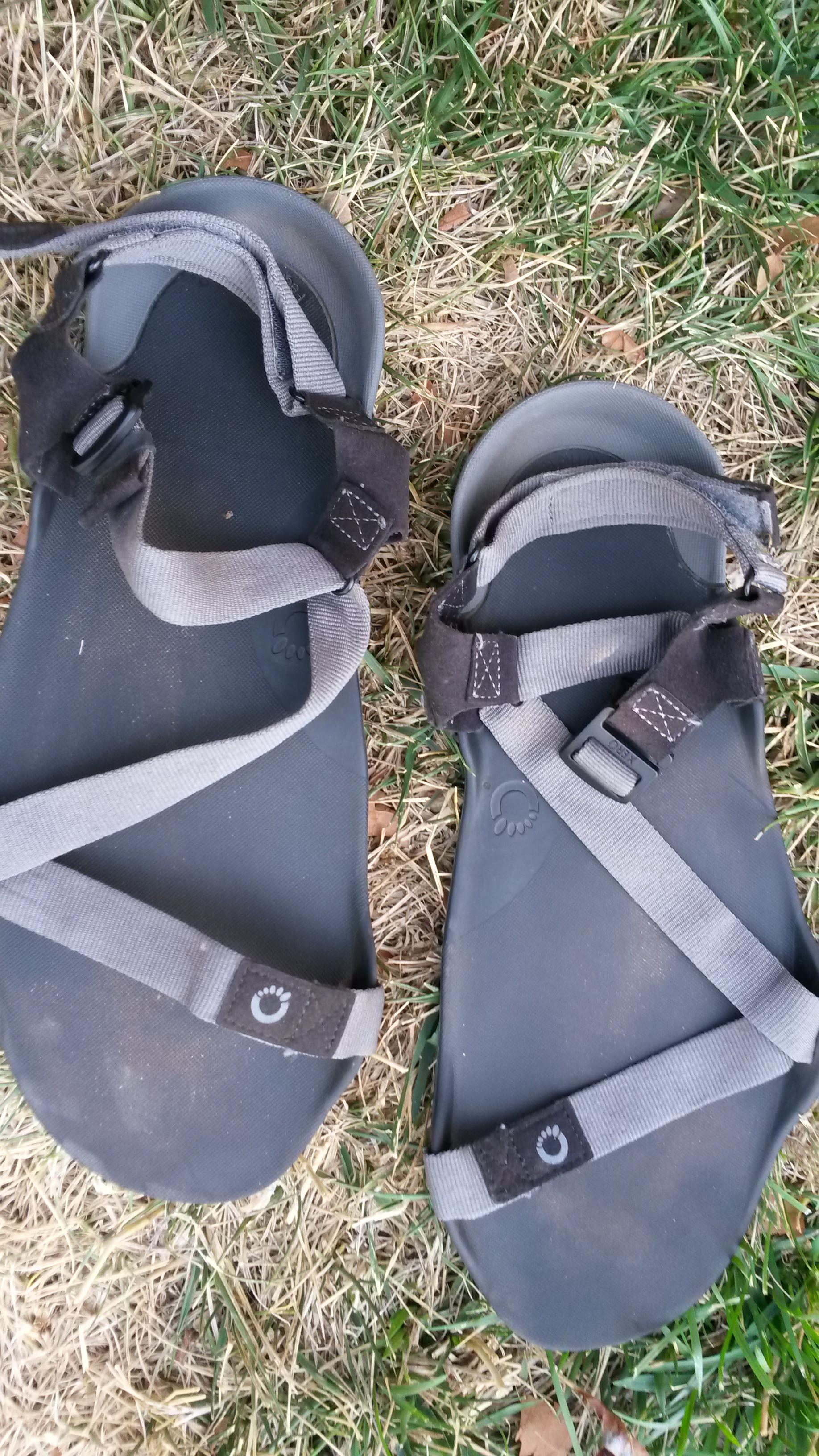 z trek xero