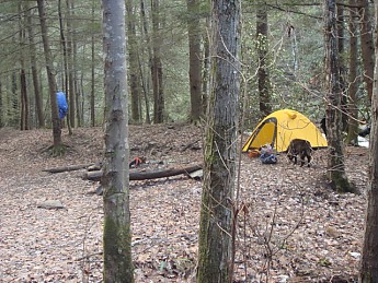 Trip-87-046.jpg