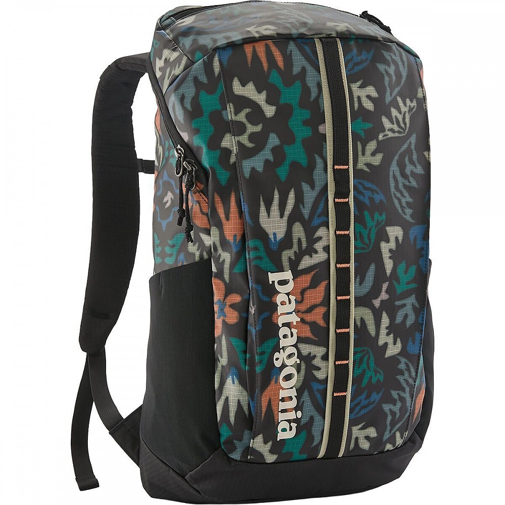 Patagonia Black Hole Pack 25 Reviews - Trailspace display picture 3