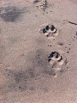 IMG_1471.jpg