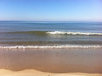 IMG_1474.jpg