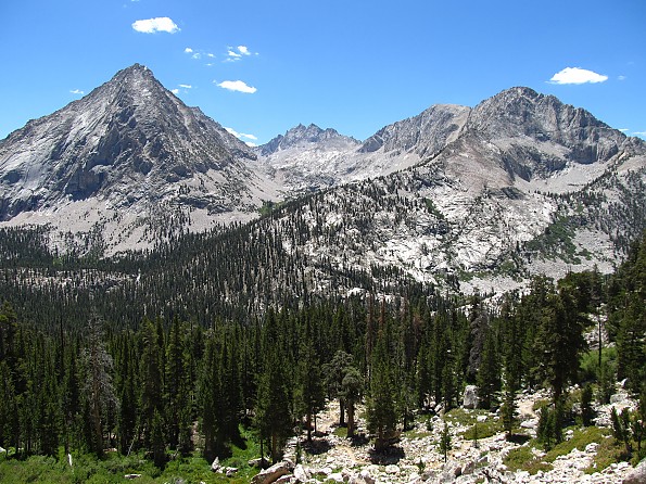 IMG_1190.jpg