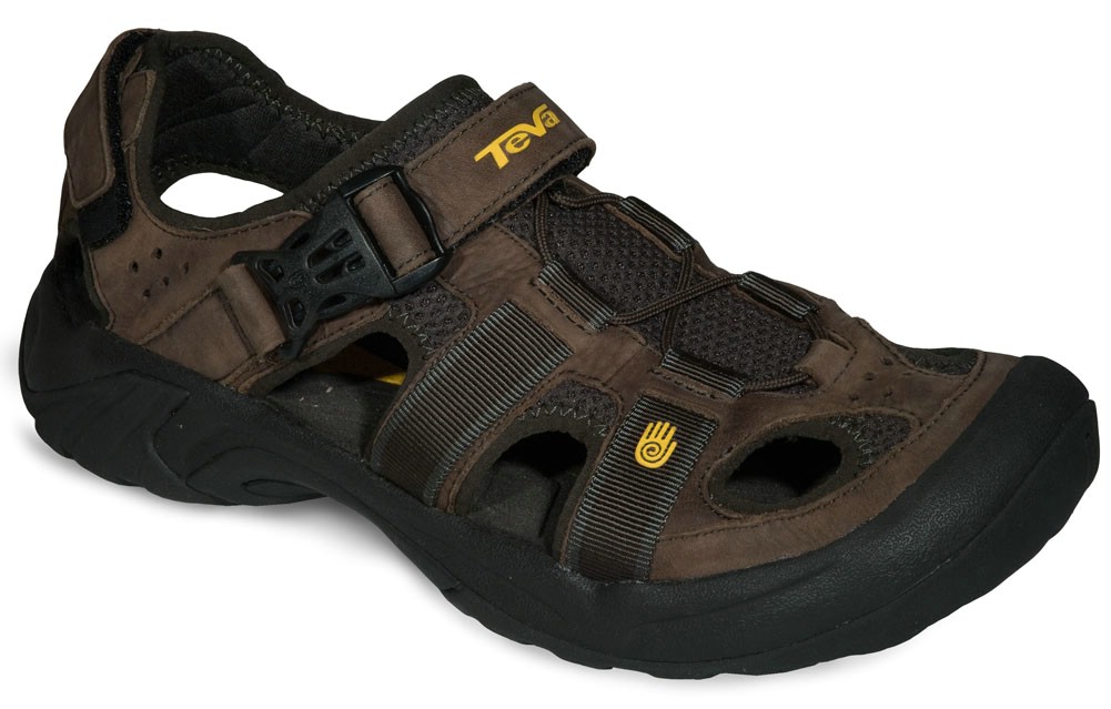 teva omnium review