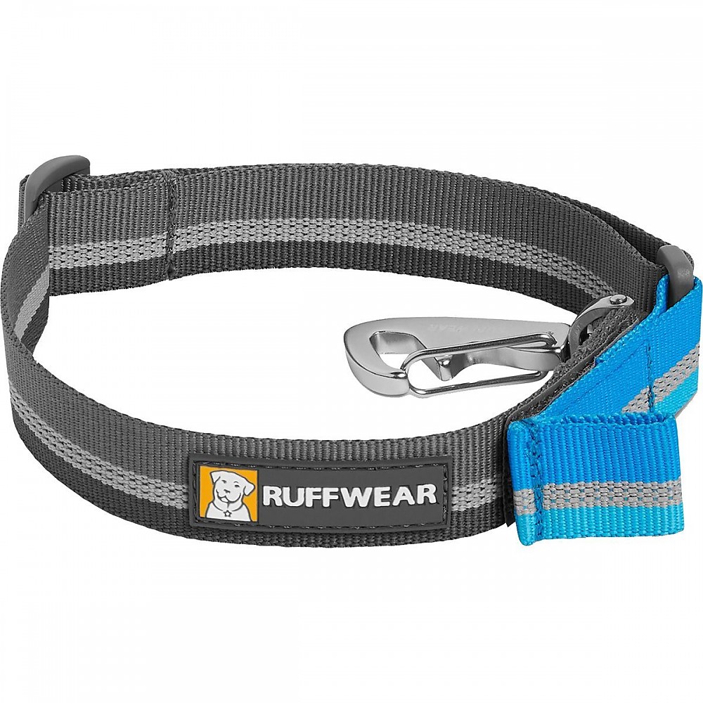 photo: Ruffwear Quick Draw Leash dog leash