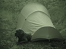 DSC04551.jpg