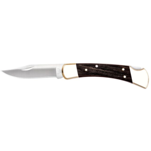 photo: Buck 110 Folding Hunter folding knife