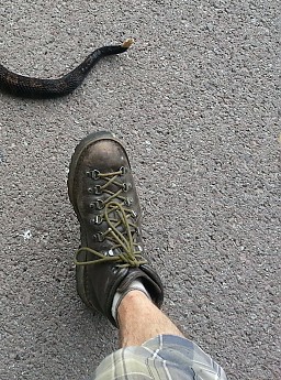 Danner Light Ii Gtx Hiking Boots - Yu Boots
