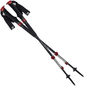 photo: Black Diamond Trail Pro Shock antishock trekking pole
