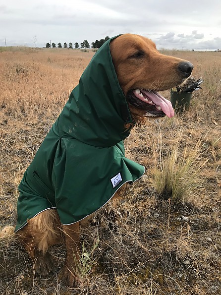 voyager k9 raincoat