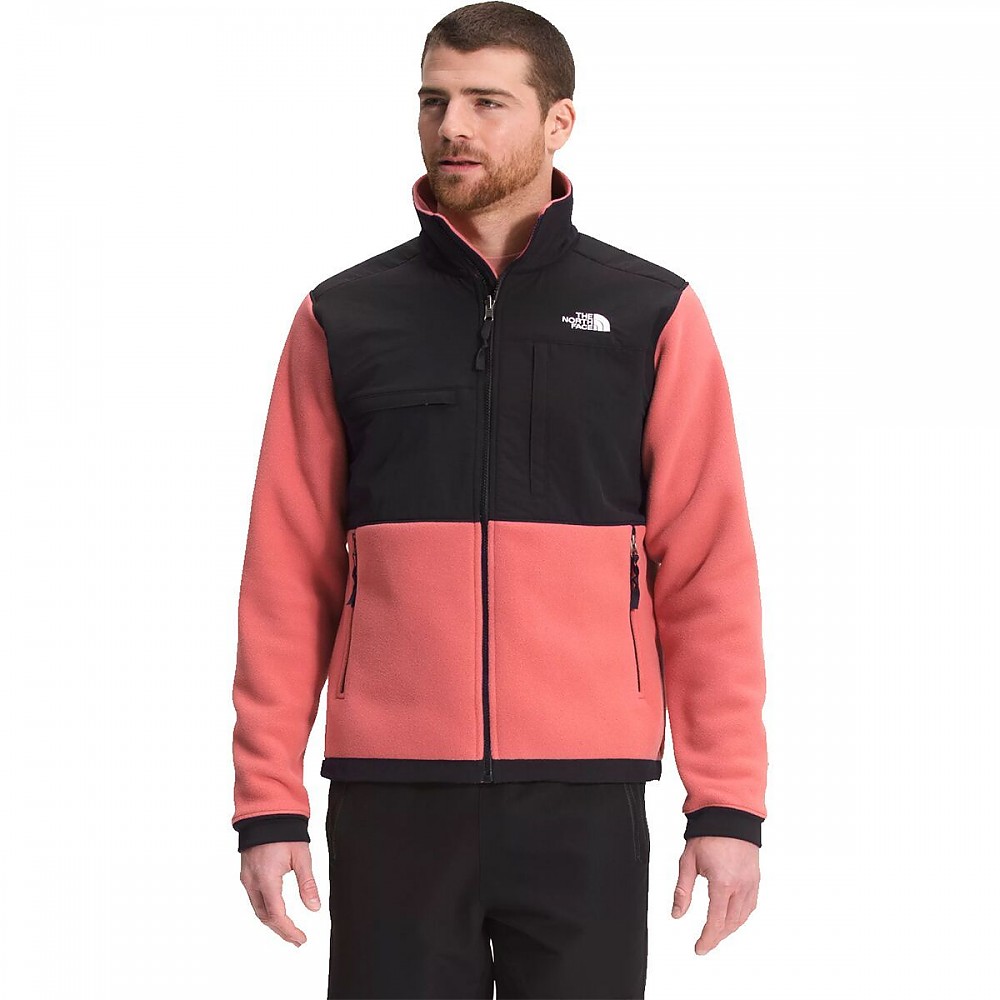 photo: The North Face Denali 2 Jacket fleece jacket