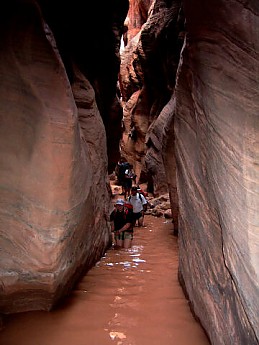 buckskin3.jpg