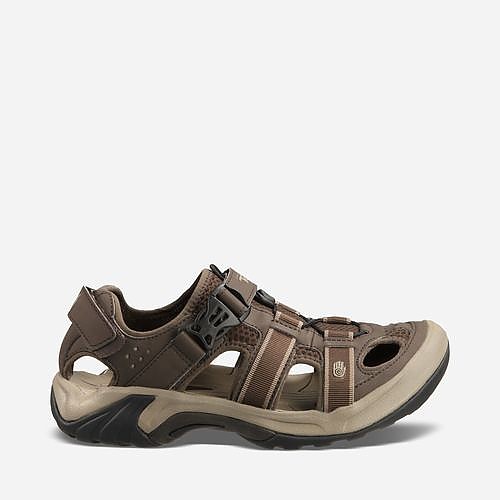 teva omnium review