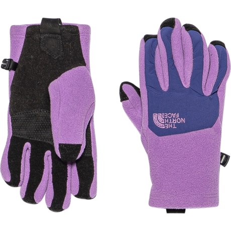 The North Face Denali Etip Glove Reviews - Trailspace