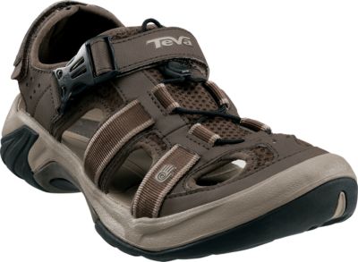 teva omnium review