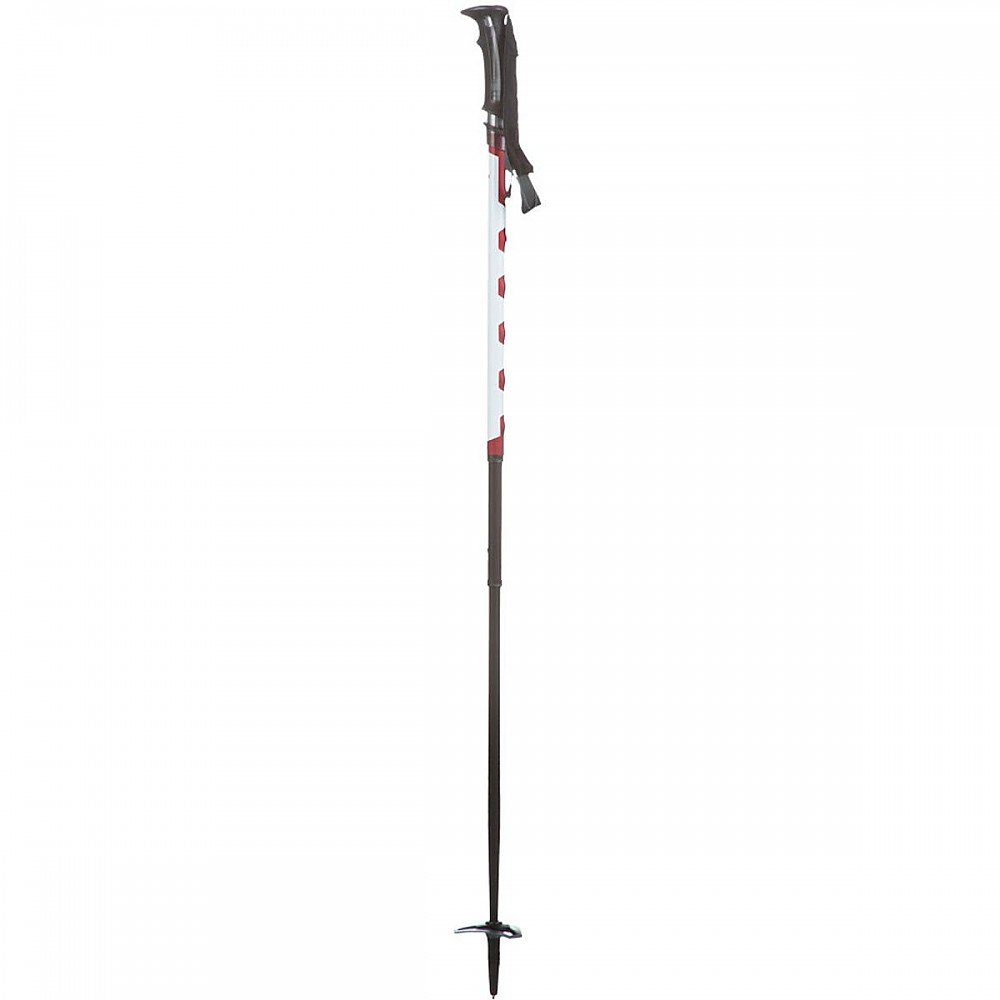 photo: MSR Deploy TR-3 alpine touring/telemark pole
