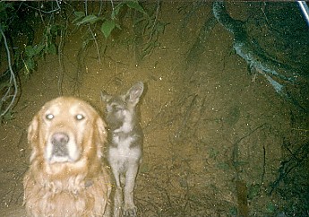 fotog-8.jpg