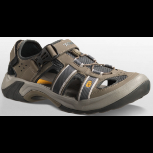 teva omnium review