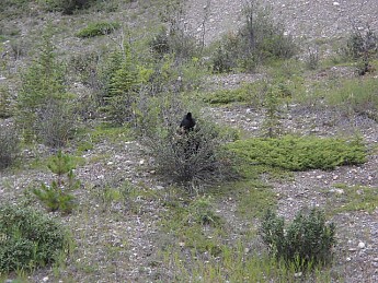 DSC03004.jpg