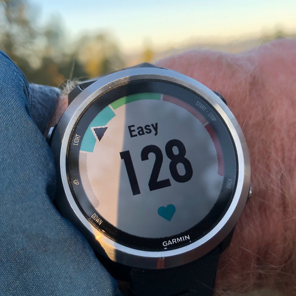 garmin forerunner 645 specs