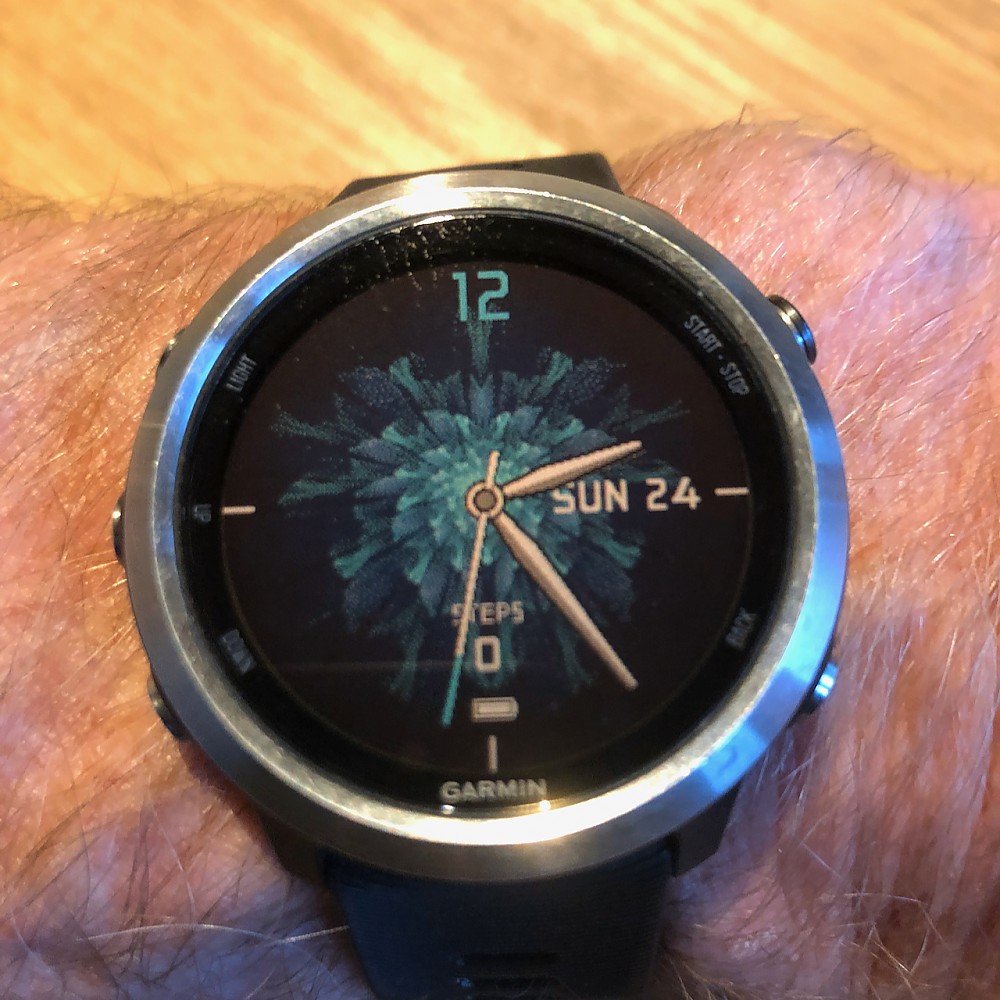 forerunner 645 sale
