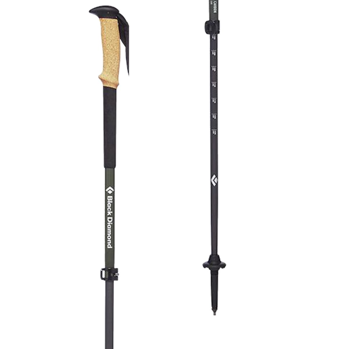 photo: Black Diamond Alpine Carbon Cork rigid trekking pole
