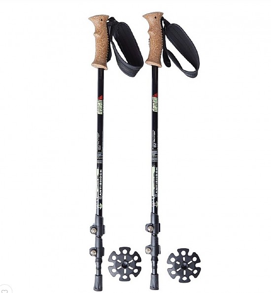 Denali Explorer II Carbon Fibre Walking Poles