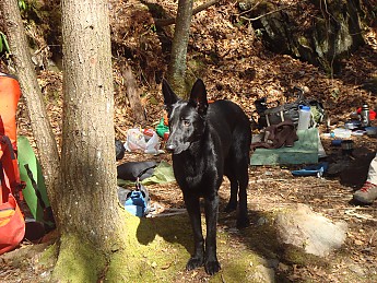 TRIP-91-016.jpg