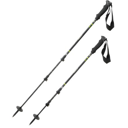 photo: REI Carbon PowerLock rigid trekking pole