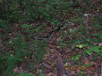 DSCN1747.jpg