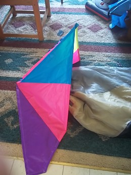 100_0327.jpg