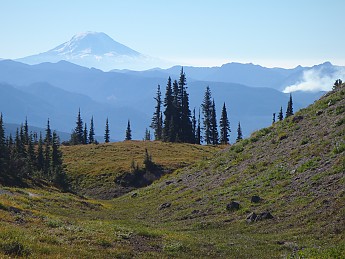 PA070431.jpg