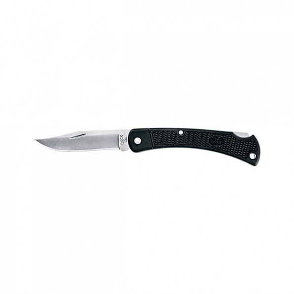 Buck 110 Folding Hunter