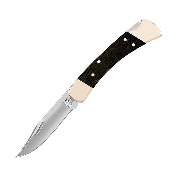 photo: Buck 110 Folding Hunter folding knife