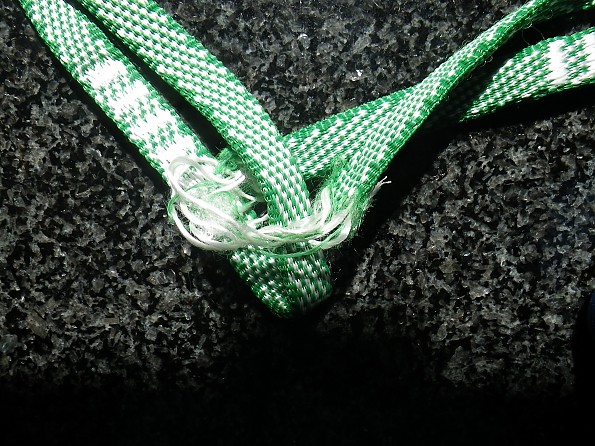 IMGP0001.jpg