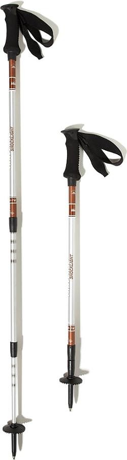 photo: REI Traverse Shocklight antishock trekking pole