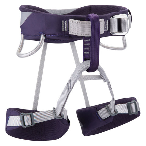 photo: Black Diamond Wiz Kid sit harness