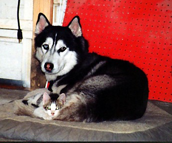 zues-and-mouse.jpg