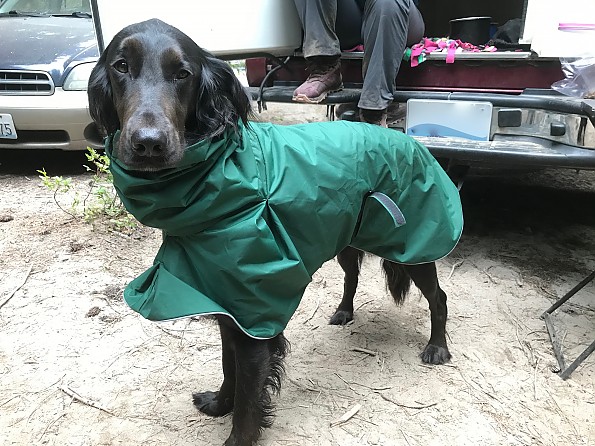 Voyagers K9 Apparel Custom Dog Rain Coat Reviews - Trailspace