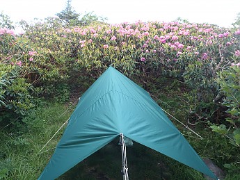 Roan-115.jpg