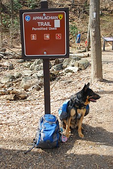 DSC_6209.jpg