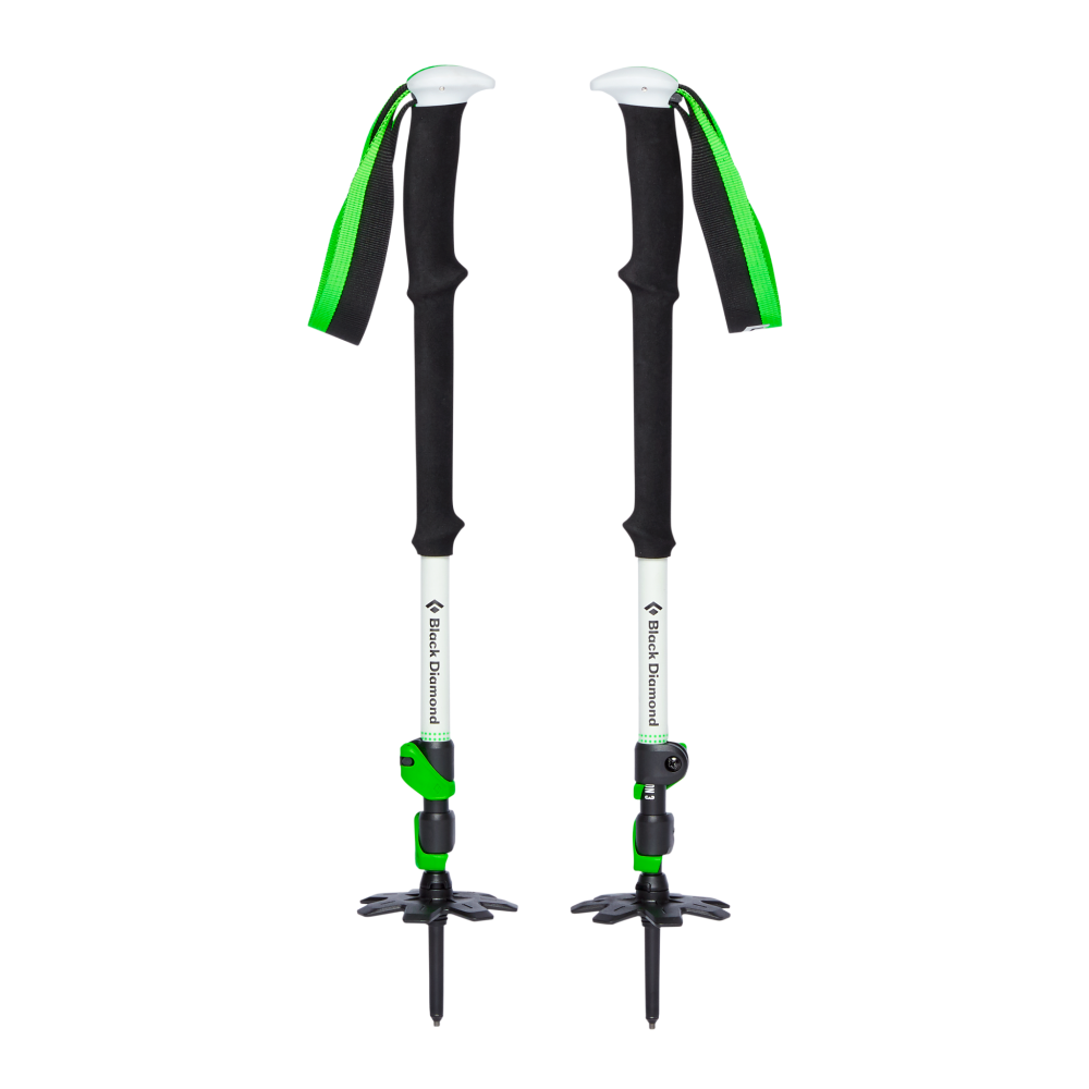 photo: Black Diamond Expedition 3 alpine touring/telemark pole