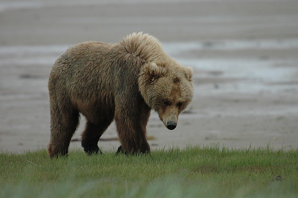 DSC_0072.jpg